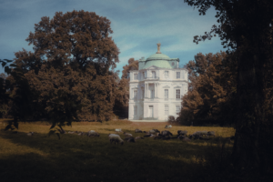 Sheep grazing in a scenic countryside setting near a historic Berlin palace, surrounded by lush trees.